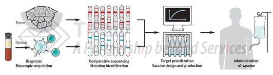 参见:Sahin U, et al. Science. 2018 Mar 23;359(6382).