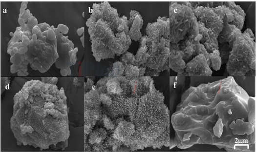 参见:Kirsten A. Graeser et al. 2008
