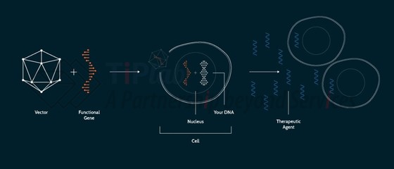 来源：Regenxbio官网