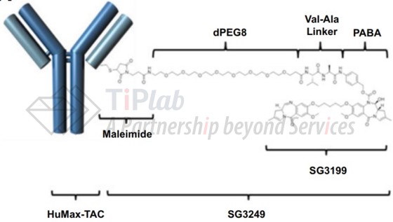 参见：MJ Flynn,Molecular cancer therapeutics.2016