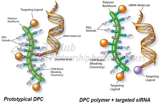 第一代DPC™ vs. 第二代DPC™