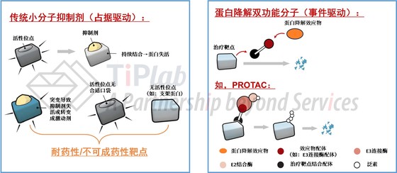 蛋白降解双功能分子的降解原理（改自DOI:10.1126/science.aam7340）