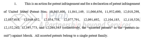 涉案专利,参见判决原文