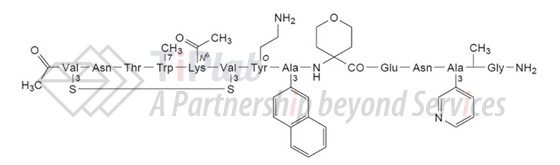 参见:https://doi.org/10.1038/s41598-024-67371-5