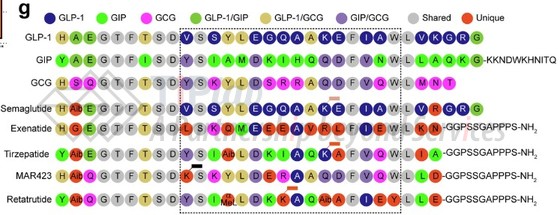 参见：https://doi.org/10.1038/s41421-024-00700-0