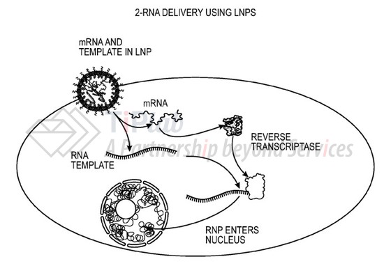 参见：PCT/US2023/028175