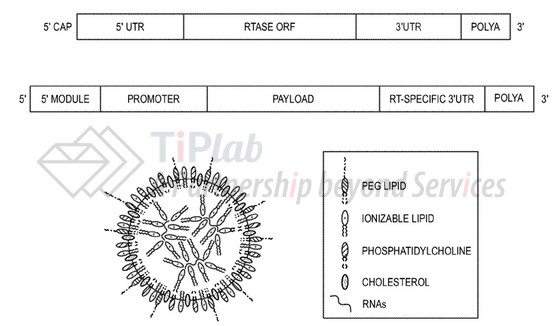 参见：PCT/US2023/028175