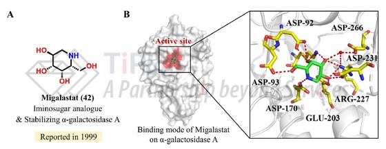 参见:https://doi.org/10.1016/j.ejmech.2022.114742
