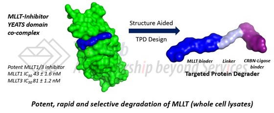 参见：Dark Blue 官网