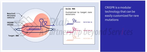 参见：公司官网