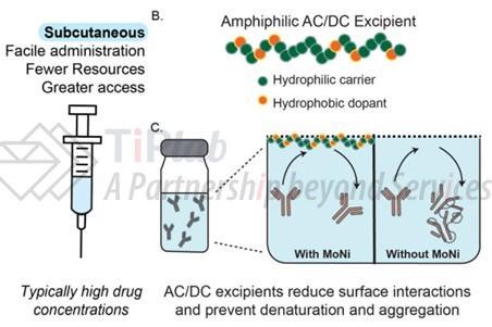 参见:https://doi.org/10.1002/adtp.202200102