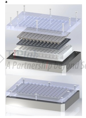 用于高通量检测的肠道组织培养系统接口设计的 96 孔板装置示意图。(参见:https://doi.org/10.1038/s41551-020-0545-6)