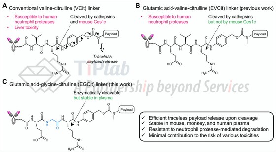 参见：doi: 10.1158/1535-7163.MCT-22-0362