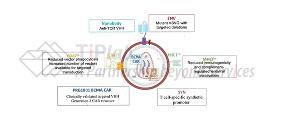 图3 EsoBiotec的ENaBL平台 （源自doi: 10.1016/S0140-6736(25)01030-X）