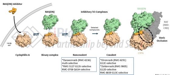 参见：Revolution Medicines，AACR 2026报告