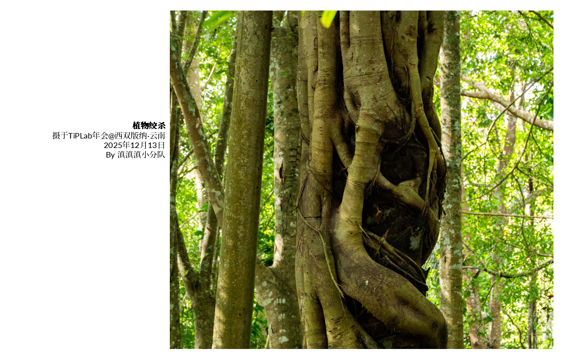 TiPLab2025年会-云南西双版纳