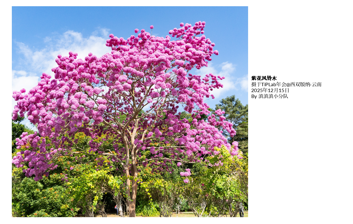 TiPLab2025年会-云南西双版纳