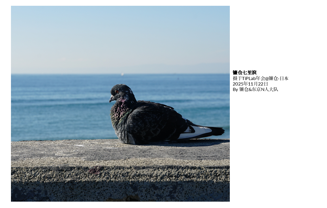 TiPLab2025年会-日本镰仓&东京