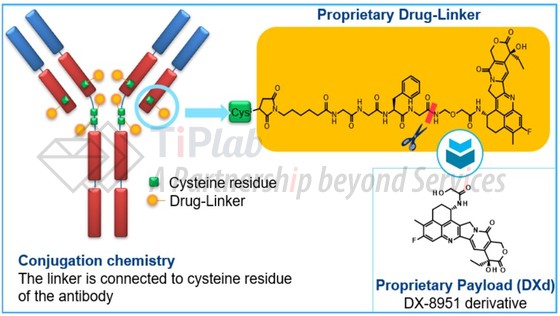 参见:AstraZeneca官网