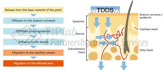 TDDS机理（摘自久光制药官网）