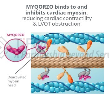 参见：公司官网
