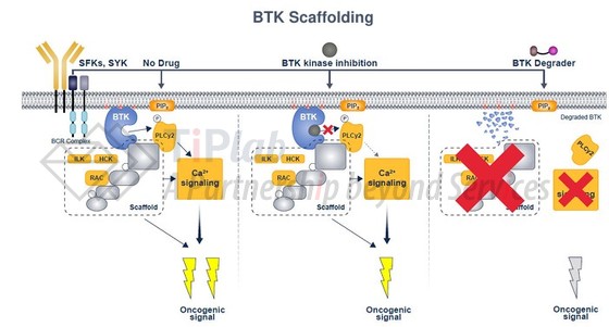 参见：Nurix presentation